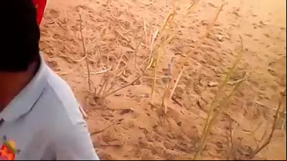 Barmer sex video rajasthan
